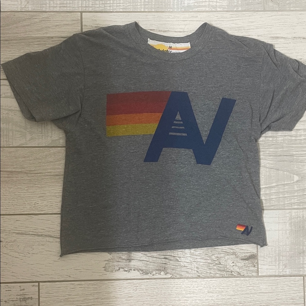 Aviator Nation Gray Tee with Rainbow Graphic